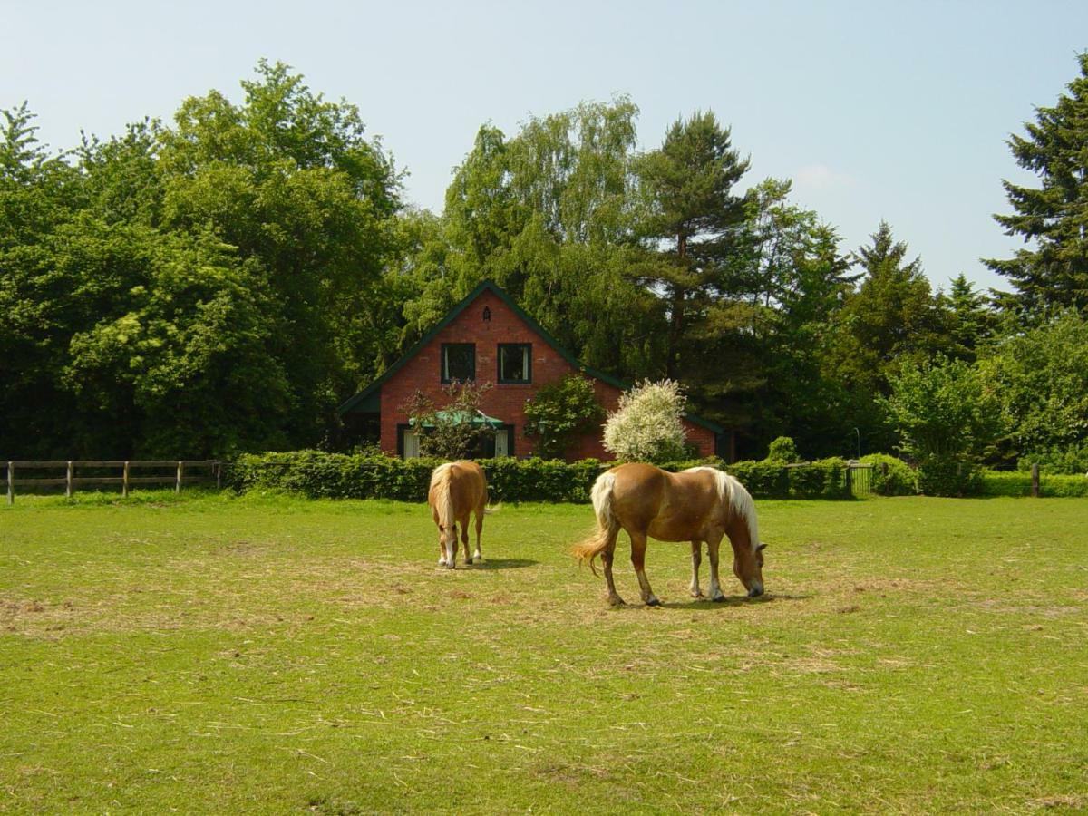 Bernard Meyborg Villa Lindern Exterior photo